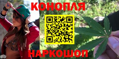 молекула духа Камень-на-Оби