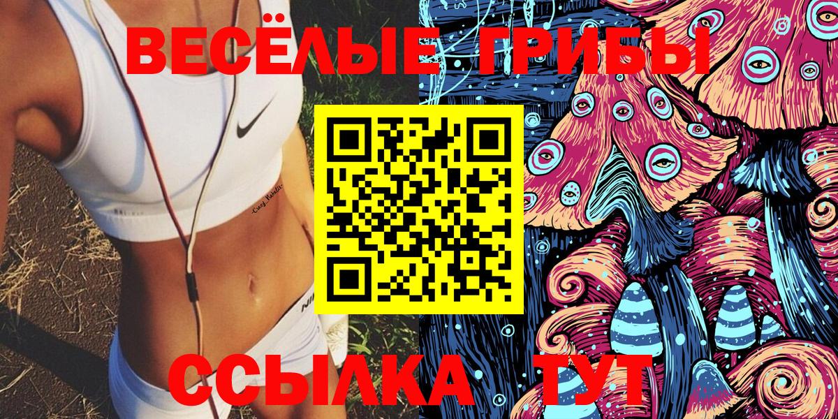 Псилоцибиновые грибы Psilocybine cubensis Азнакаево